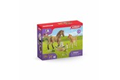 Schleich - Schleich HORSE CLUB Sarahs pleje af dyreunger - 42432