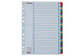 Lommer, Omslag & Registre - Esselte Register  Mylar A4 1-31 flerfarve - 100164
