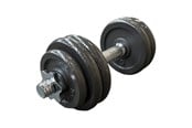 Sport & Fitness - TITAN LIFE LIFE 15 kg Adjustable Iron Dumbbell - 400-800082