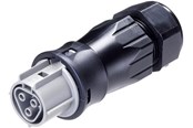 Kabler, ledninger, afdækning og brandsikring - Wieland RST25I3 Stik hun grå Ø=13-18mm - 96.031.4554.3