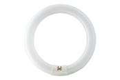 Lyskilder - Philips Fluorescerende pære Master TL-E Cirkelformet 40W/840 G10q - 928027484070