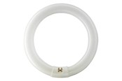 Lyskilder - Philips Fluorescerende pære Master TL-E Cirkelformet 32W/840 G10q - 928026384070