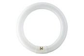 Lyskilder - Philips Fluorescerende pære Master TL-E Cirkelformet 22W/840 G10q - 928026284070