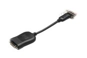 Skærmkabel - HP I DisplayPort to DVI-D Adapter - 484156-001