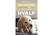 Have - 100 hurtige spørgsmål og svar om din nye hvalp - Have - Hæftet - 9788793959330