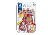 Skrive- og Tegneværktøjer - Staedtler STAEDTLER Farveblyant 36 stk. ass. - 175 M36