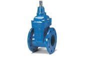 Vandforsyningsprodukter - Avk Skydeventil avk 65 mm med flanger - 06065308146499