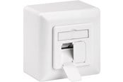 Tilbehør (Ophæng, fatninger, mv.) - Pro CAT 6a universal wall plate inc. on-wall mounting frame - 4040849685729