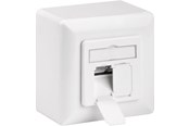 Tilbehør (Ophæng, fatninger, mv.) - Pro CAT 6 universal wall plate incl. on-wall mounting - 4040849682445
