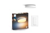Smart Home - Philips Hue Enrave Medium Loftlampe - Hvid - 915005996601