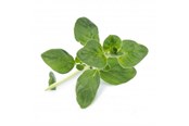 Smart Home - Veritable Lingot Organic Oregano - VLIN-A10-Ori00C