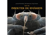 Børnebøger - Tæt på insekter og småkryb - Børnebog - Hardback - 9788775493586