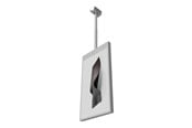 Vægbeslag, AV-Beslag & AV-Møbler - HI-ND Ceiling Casing - mounting component - for dual-sided LCD display - Maks 50 kg - Maks størrelse 55" - CC5519-5101-01