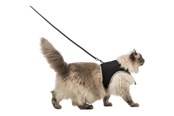 Katte - Trixie Soft harness cat with leash XXL 36–54 cm 1.20 m black - TX41895