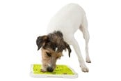 Hunde - Trixie Lick'n'Snack Plade 20x20cm - TX34952