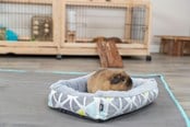 Kanin & gnaver - Trixie Hyggeseng Sunny til Små Dyr Marsvin Små Kaniner - TX62802