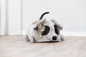Katte - Trixie Junior Hyggehule Lukas til Killinger 35x33x65cm - TX36290