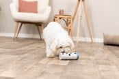 Hunde - Trixie Hundeaktivitetslegetøj Snack-Rulle - TX32020