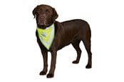 Hunde - Trixie Sikkerhedshalstørklæde til hunde S-M 29-42cm - TX30122