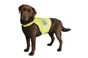 Hunde - Trixie Dog Safety Vest Reflective XS Length 21cm Stomach Circum 34-40cm - TX30080