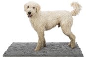 Hunde - Trixie Smudsabsorberende måtte 100x70cm - TX28536