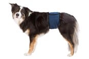 Hunde - Trixie Washable Nappies for Male Dogs M Waist 45-55cm - TX23663