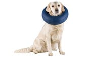 Hunde - Trixie Protective Collar Inflatable S–M 32-40cm - TX19545