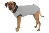 Hunde - Trixie Beskyttende restitutionsbody til hunde Størrelse: XL Ryglængde: 70cm - TX19539