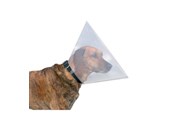 Hunde - Trixie Protective collar plastic L–XL: 47–57 cm/30 cm - TX19486