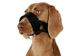 Hunde - Trixie Muzzle loop nylon L–XL black - TX19282