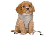 Hunde - Trixie Junior Puppy Blød Sele med Line Størrelse S-M Maveomkreds 26-34cm - TX15560