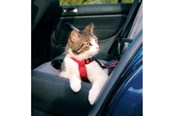 Katte - Trixie Car cat harness 20–50 cm/15 mm red - TX1294