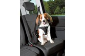 Hunde - Trixie Comfort car harness M: 50–65 cm/20 mm black - TX12856