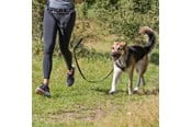 Hunde - Trixie Mavebælte med Line til Mellemstore og Store Hunde - TX12766
