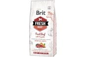 Hunde - Brit Fresh Beef with Pumpkin Puppy Large 12 kg - BH281200
