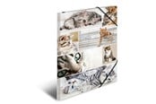 Mapper og Clipboards - HERMA Elasticated folder A3 cardboard cats - 19219