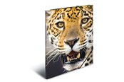 Mapper og Clipboards - HERMA Elasticated folder A4 PP Leopard - 7137