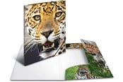 Mapper og Clipboards - HERMA Leopard Folder A3 - 4008705071420