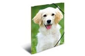 Mapper og Clipboards - HERMA Elasticated folder A3 PP Dogs - 7144