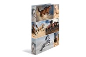Brevordnere og Ringbind - HERMA Ring binder A4 cardboard 2D horses - 19429