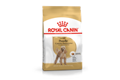 Hunde - Royal Canin Poodle Adult 1.5kg - 3182550743174