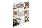 Mapper og Clipboards - HERMA 3-flap folder - for A4 - cats - 19212