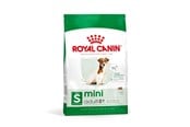 Hunde - Royal Canin Mini Adult 8+ 8kg - 3182550831406