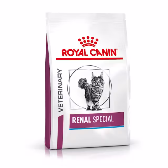 Katte - Royal Canin Renal Special Dry Food for Cats 400g - 3182550917049