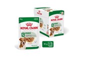 Hunde - Royal Canin Mini Ageing Chunks in Gravy 85g (12-Pack) - 9003579008287
