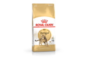 Katte - Royal Canin Bengal Adult 10kg - 3182550865111