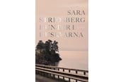 Skønlitteratur & Fiktion - Hunter i Huskvarna - Skønlitteratur & Fiktion - hardcover - 9788793980679