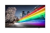 Infoskærme & Digital Skiltning - Philips 65BFL2214 B-Line Professional Series - 65" LED-backlit LCD TV - 4K - 65BFL2214/12