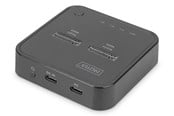 Harddisk - tilbehør - DIGITUS Dual M.2 NVMe SSD Docking Station with Offline Clone Function - DA-71545