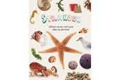 Børnebøger - Stranden - Børnebog - Hardcover - 9788742510025